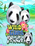 ค้นหา สล็อต อัน ไหน ได้ เงิน ดี และวิธีเล่น